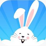 VIP Bunny Aio